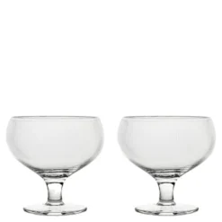 Blanka champagneglas 30 cl 2-pack klar