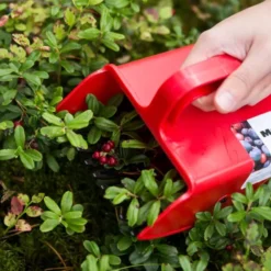 Bärplockare med plastpiggar 22 cm röd