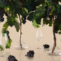 Cabernet Vinglas 52 cl
