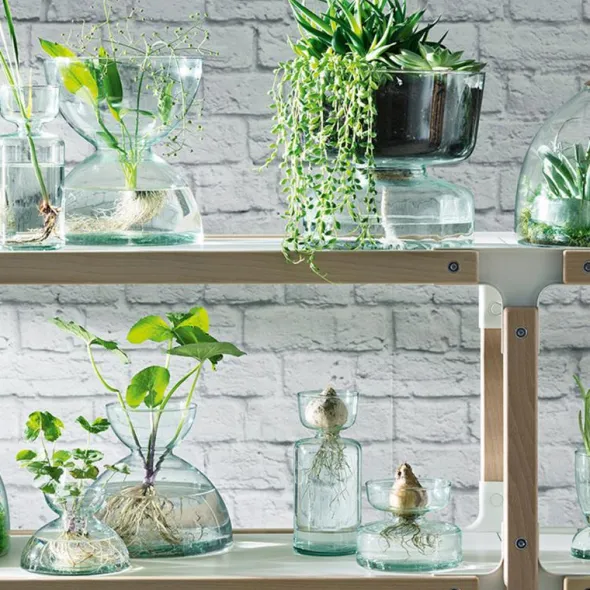 Canopy Vas 24 cm