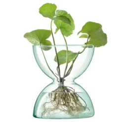 Canopy Vas 24 cm