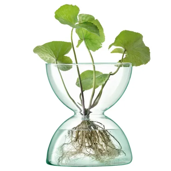 Canopy Vas 24 cm