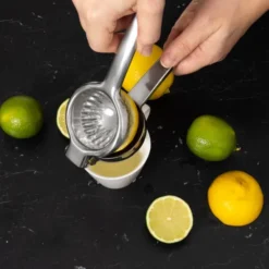 Citruspress i rostfritt stål 22 cm