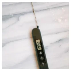 Digital Stektermometer Stacy