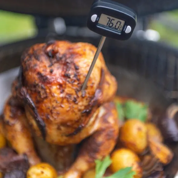 Digital termometer -40°C till +250°C