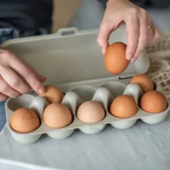Eggs To Go äggbox 10 ägg beige
