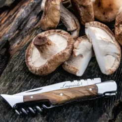 Fickkniv med korkskruv Olive