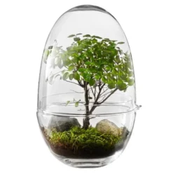 Grow Växthus Large 32 cm