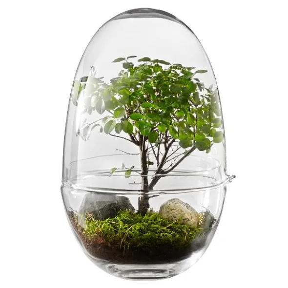 Grow Växthus Large 32 cm