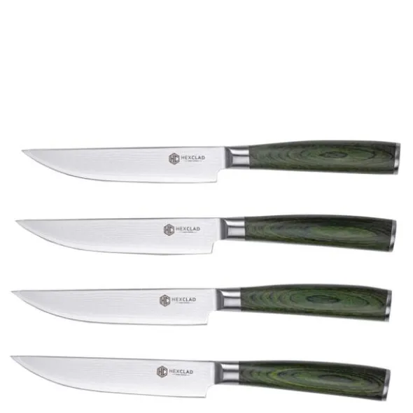 Hybrid stekkniv set 4 delar silver/skogsgrön