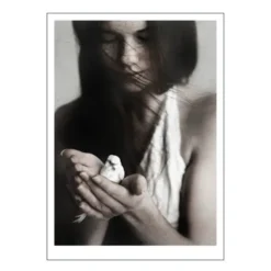 Ingrey Studio poster 50x70 cm girl & bird