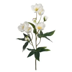 Julros 57 cm vit