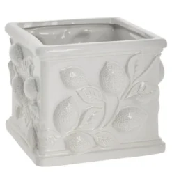 Limone blomkruka 16 cm vit