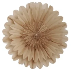Lotus Julstjärna 60 cm Beige