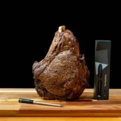 MeatStick Classic trådlös termometer