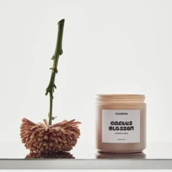 Mind doftljus 10 cm Cactus Blossom