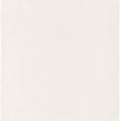 Pellava tygservett 2-pack 45x45 cm vit