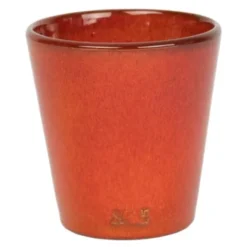 Plant blomkruka liten 12x12 cm orange