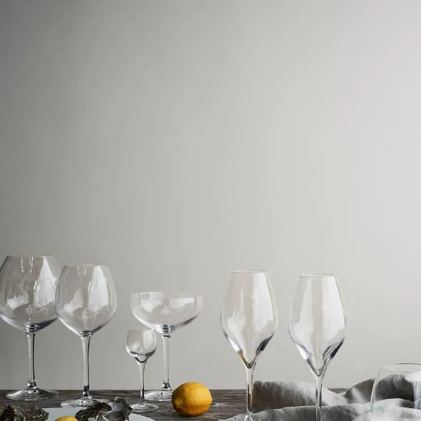 Premium Snapsglas 5 cl 2-pack