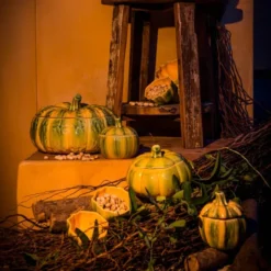 Pumpkin terrin 4,3 L pumpa orange/grön