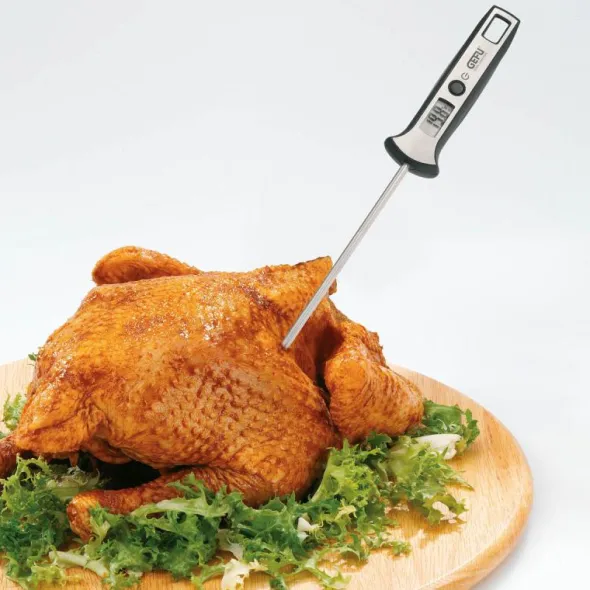 Scala digitalt termometer