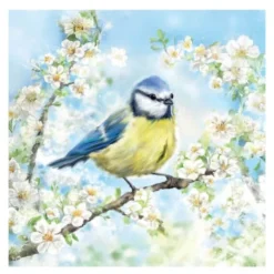 Servett 33x33 cm 20-pack Blossom Time