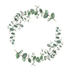 Servett 33x33 cm 20-pack Eucalyptus Branche