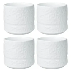 Servisen C mugg 26 cl 4-pack vit