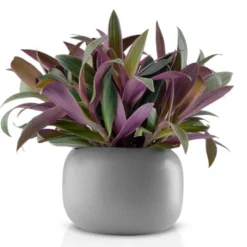 Stone Blomkruka 16 cm