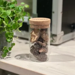 Torkad shiitake umami 030 glasburk 20 g