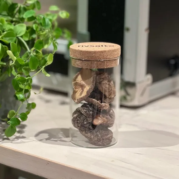 Torkad shiitake umami 030 glasburk 20 g