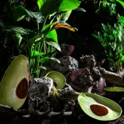 Tropical Fruits skål 50 cl avokado