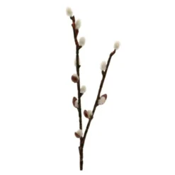 Videkvist 36 cm grön